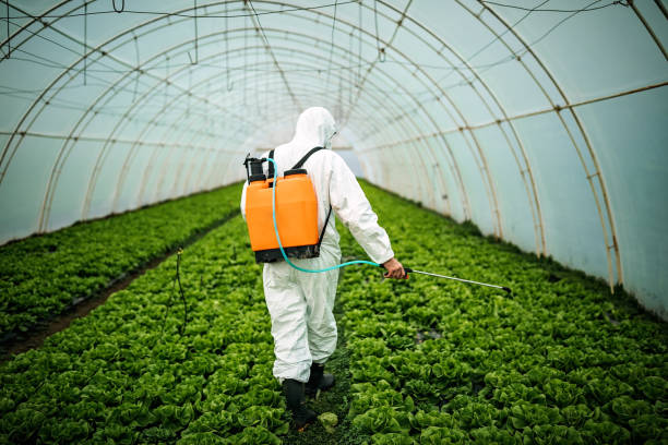 Best Affordable Pest Control Services  in Lyles, TN