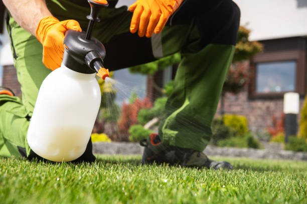 Best Commercial Pest Control Services  in Lyles, TN
