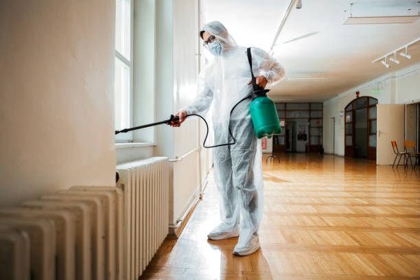 Best Wasp Removal Services  in Lyles, TN