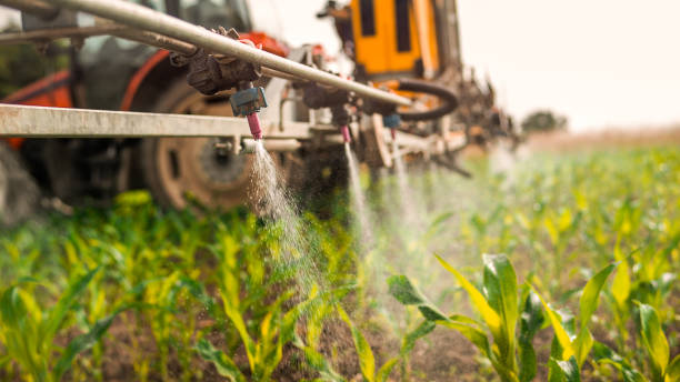 Pest Control Cost in Lyles, TN
